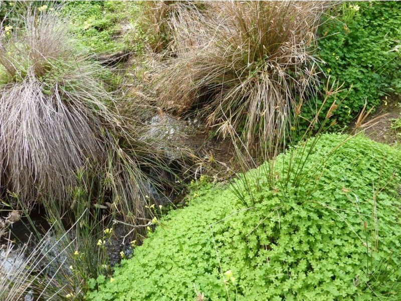 Lot 8 Myponga Beach Road, Myponga Beach SA 5202