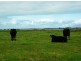 Lt 92 & 93 Clayton Milang Road, Milang SA 5256
