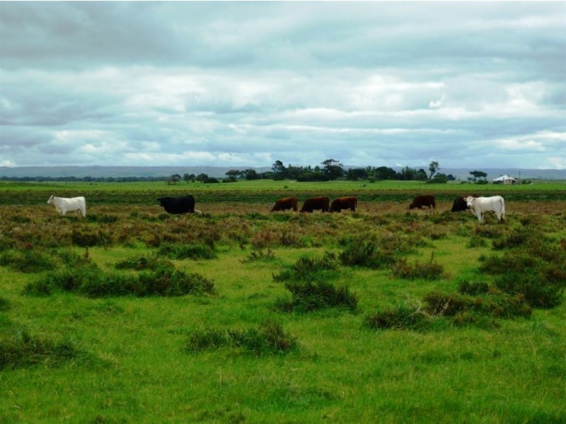 Lt 92 & 93 Clayton Milang Road, Milang SA 5256