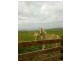 Lot 5 & 6 Myponga Beach Road, Myponga Beach SA 5202