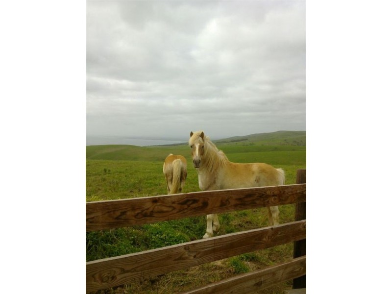 Lot 5 & 6 Myponga Beach Road, Myponga Beach SA 5202