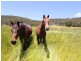 Lot 1 Barclay Road, Myponga SA 5202