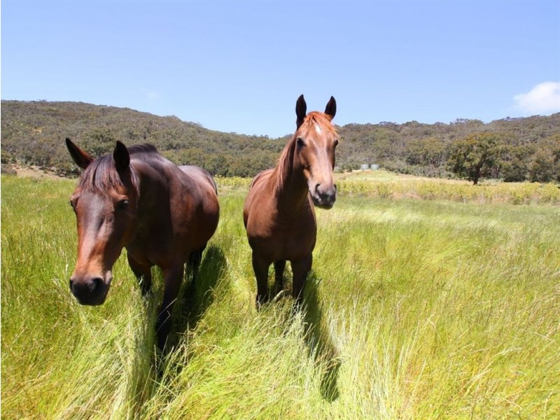 Lot 1 Barclay Road, Myponga SA 5202
