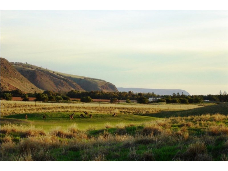 1/63 Troon Drive, Normanville SA 5204