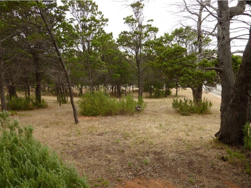 11 Clarke Street, Normanville SA 5204