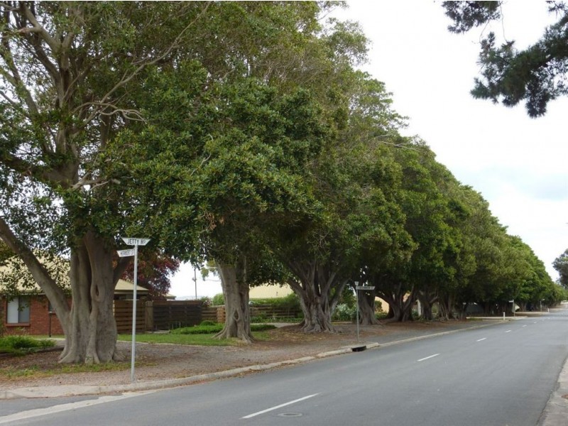5 O’Connor Street, Normanville SA 5204