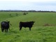 Lot 14 Myponga Beach Road, Myponga SA 5202