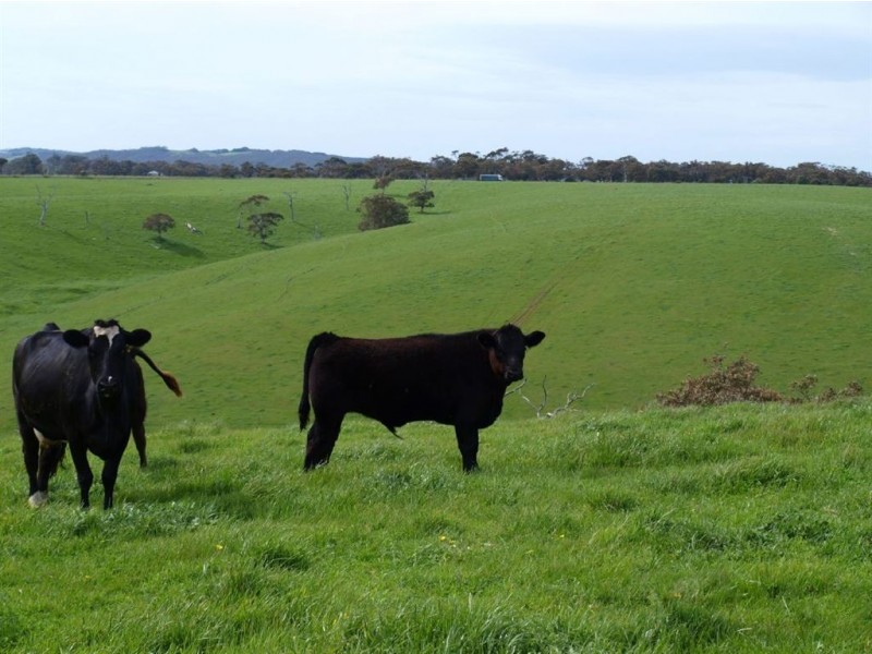 Lot 14 Myponga Beach Road, Myponga SA 5202