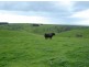 Lot 14 Myponga Beach Road, Myponga SA 5202
