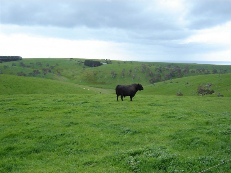 Lot 14 Myponga Beach Road, Myponga SA 5202