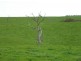 Lot 14 Myponga Beach Road, Myponga SA 5202