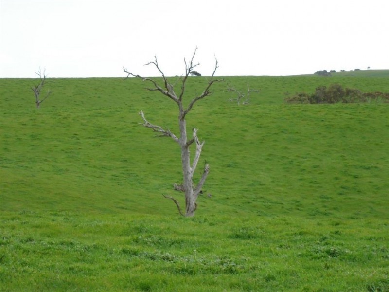 Lot 14 Myponga Beach Road, Myponga SA 5202
