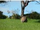 Lot 10 Back Valley Road, Victor Harbor SA 5211