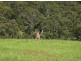 Lot 10 Back Valley Road, Victor Harbor SA 5211