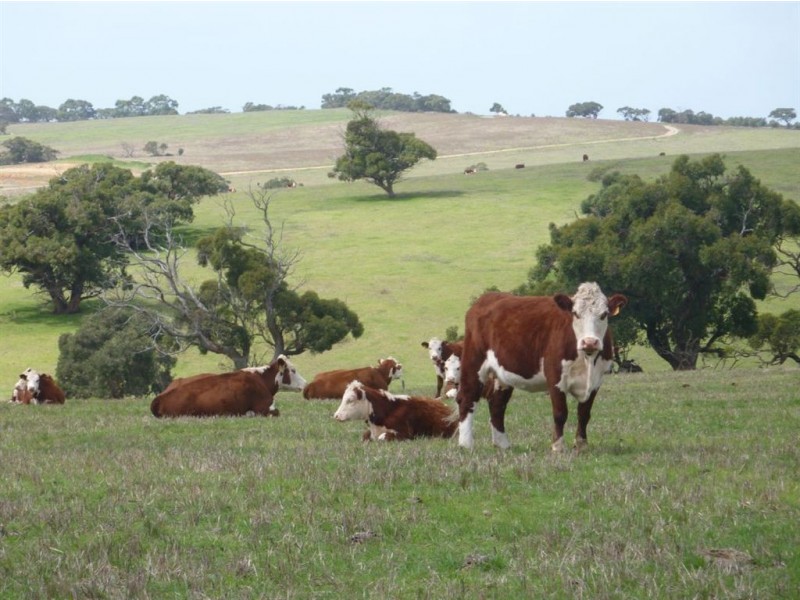 Lot 27 Range Road, Victor Harbor SA 5211