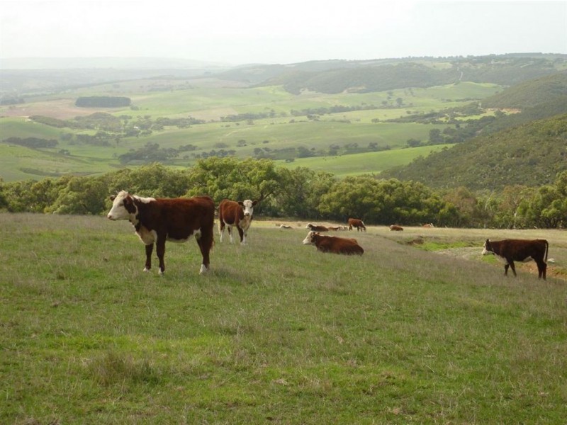 Lot 27 Range Road, Victor Harbor SA 5211