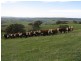 Sect 569 Wilkins Road, Victor Harbor SA 5211