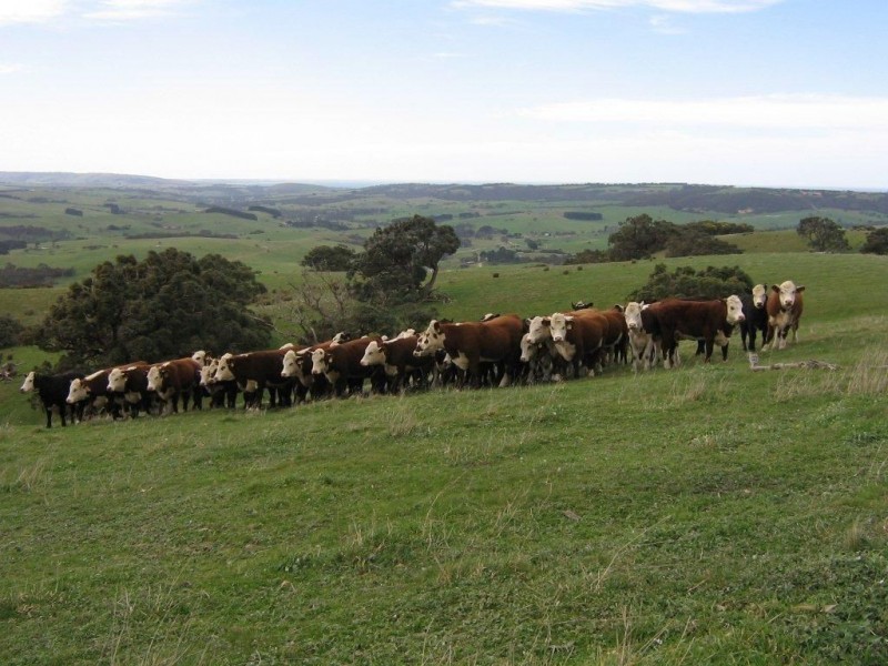 Sect 569 Wilkins Road, Victor Harbor SA 5211