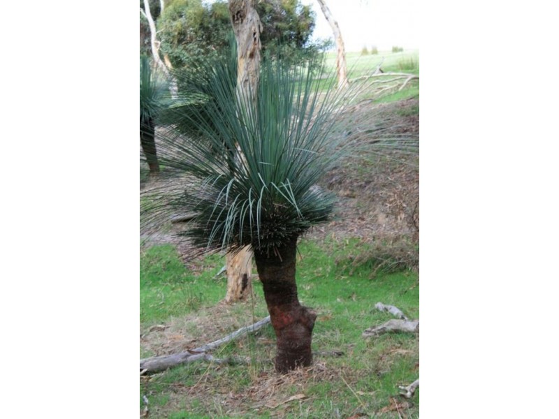 Sect 569 “Mirambeena”, Victor Harbor SA 5211