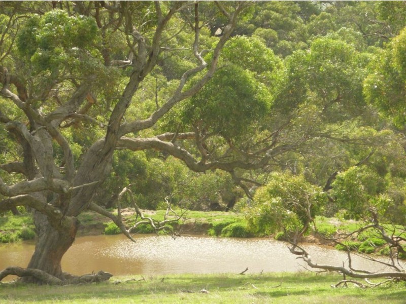 Sect 569 “Mirambeena”, Victor Harbor SA 5211