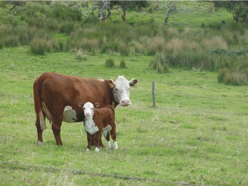 Lot 3 Wilkins Road, Victor Harbor SA 5211