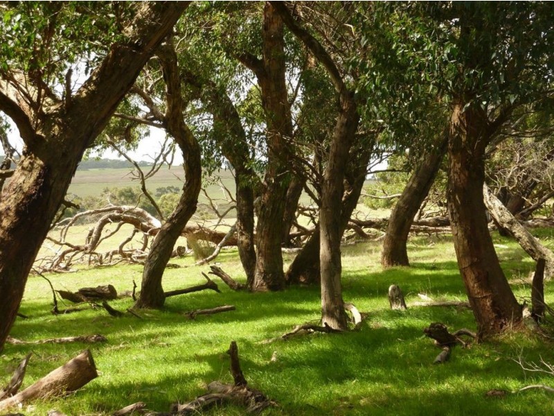 Lot 27 Range Road, Victor Harbor SA 5211