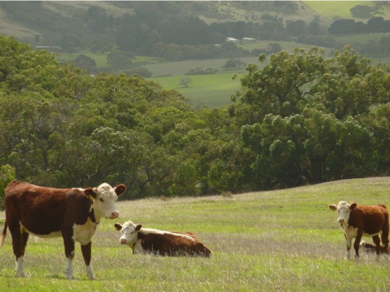 Lot 27 Range Road, Victor Harbor SA 5211