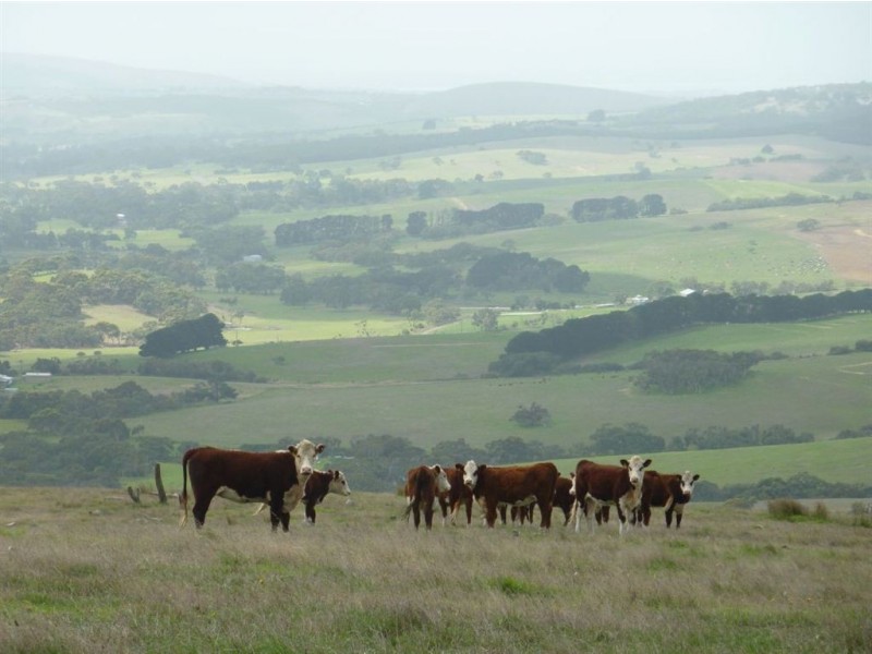 Lot 26 Mount Robinson Road, Victor Harbor SA 5211