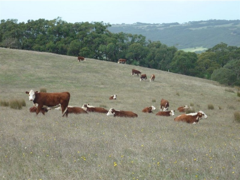 Lot 26 Mount Robinson Road, Victor Harbor SA 5211