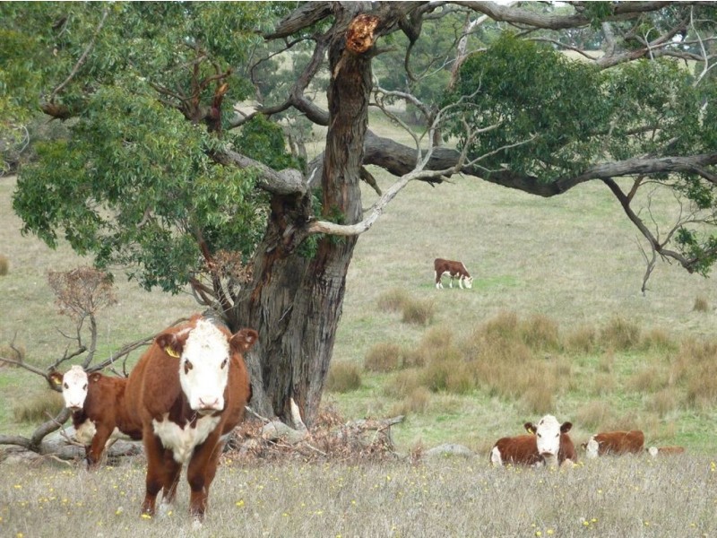 Lot 26 Mount Robinson Road, Victor Harbor SA 5211
