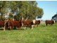 Sect 722 Range Road, Waitpinga SA 5211