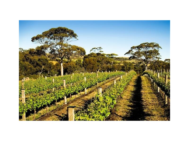 102 Allusion Cellar Door, Yankalilla SA 5203