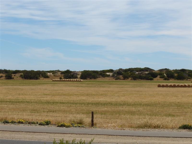 19 Carrickalinga Road, Normanville SA 5204