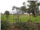 12 Goshawk Walk, Aldinga Beach SA 5173