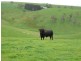 Lot 14 Myponga Beach Road, Myponga Beach SA 5202
