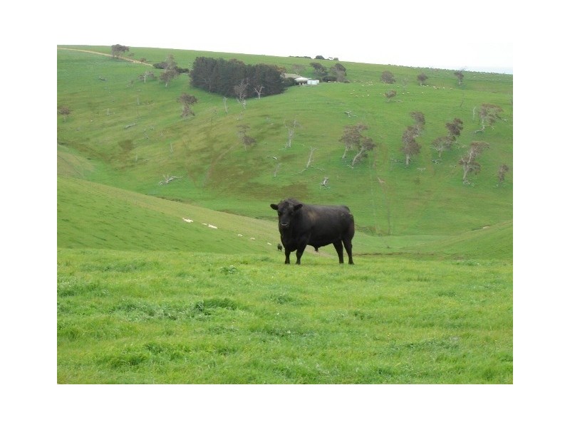Lot 14 Myponga Beach Road, Myponga Beach SA 5202
