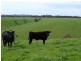 Lot 14 Myponga Beach Road, Myponga Beach SA 5202