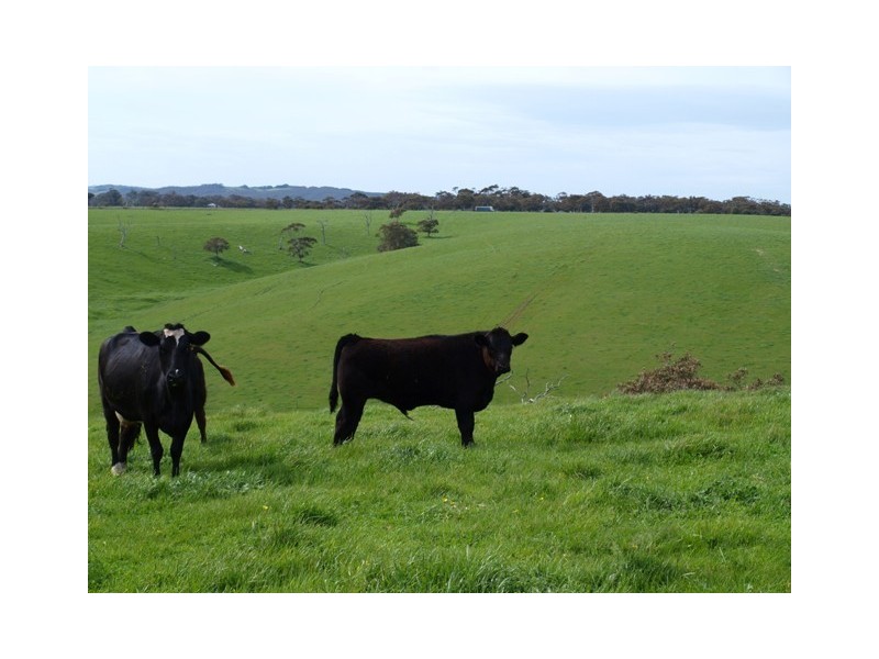 Lot 14 Myponga Beach Road, Myponga Beach SA 5202