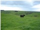 Lot 14 Myponga Beach Road, Myponga Beach SA 5202