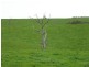 Lot 14 Myponga Beach Road, Myponga Beach SA 5202