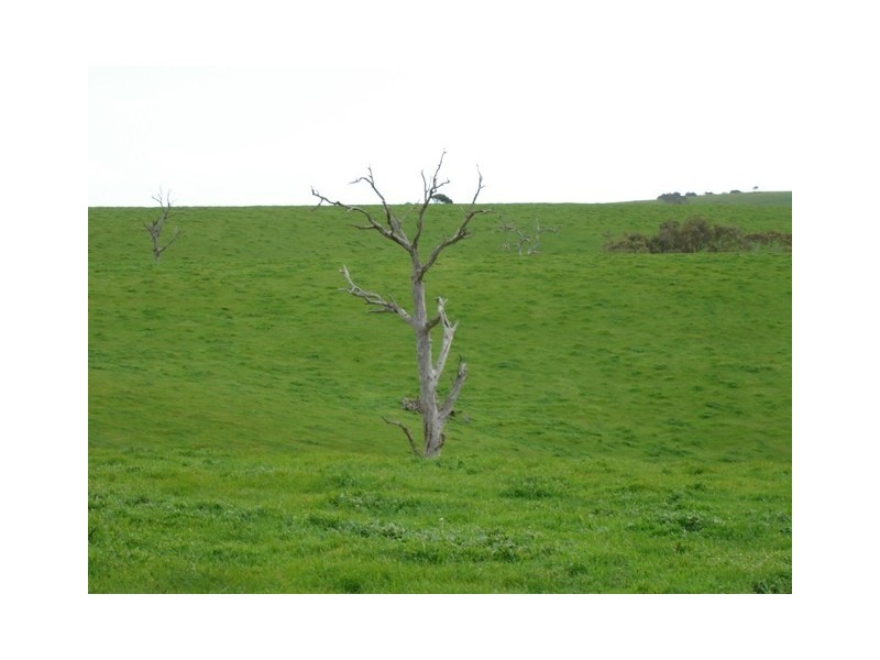 Lot 14 Myponga Beach Road, Myponga Beach SA 5202