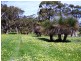 Lot 1545 via Forest Road, Second Valley SA 5204