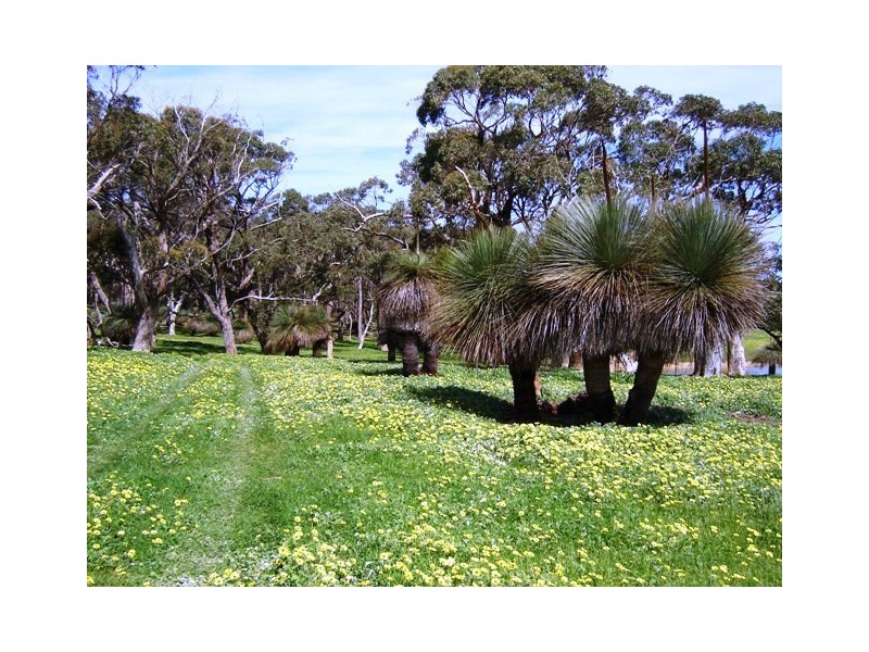 Lot 1545 via Forest Road, Second Valley SA 5204