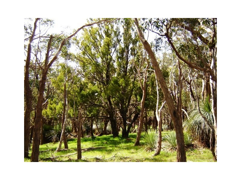 Lot 1545 via Forest Road, Second Valley SA 5204