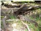 Lot 1545 via Forest Road, Second Valley SA 5204