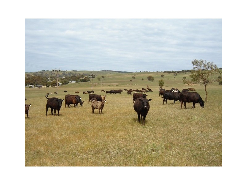 Allotmt 12 Finniss Vale Drive, Second Valley SA 5204