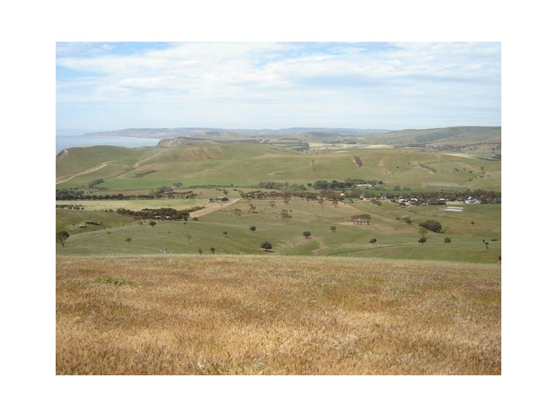 Allot 382 Finniss Vale Drive, Second Valley SA 5204