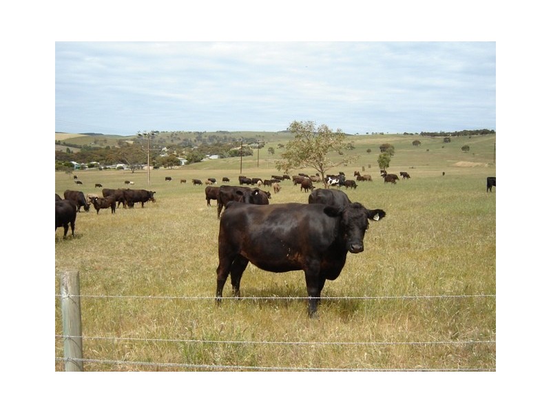 Allot 382 Finniss Vale Drive, Second Valley SA 5204