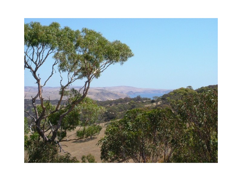 Lot 413 Wattle Flat Road, Yankalilla SA 5203