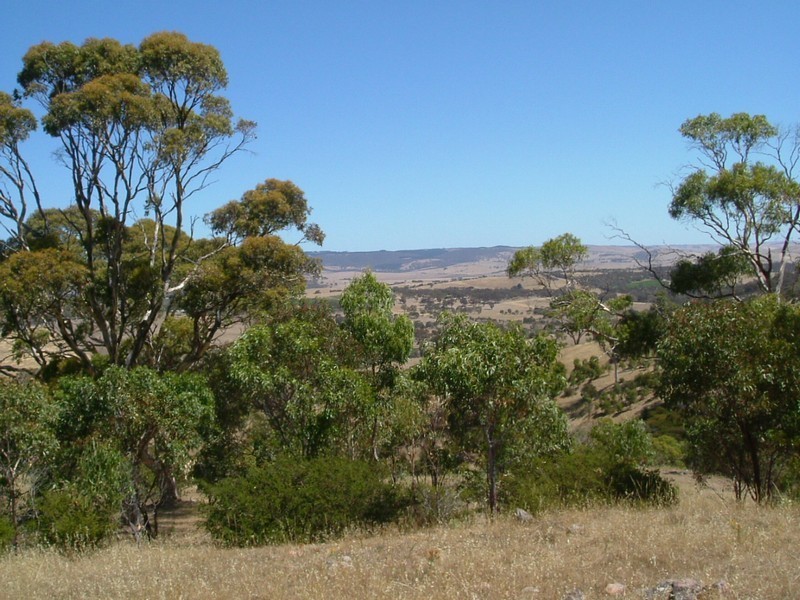 Lot 413 Wattle Flat Road, Yankalilla SA 5203